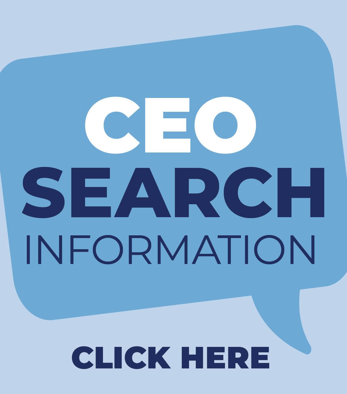 CEO Search Information